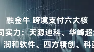 融金牛 跨境支付六大核心公司-公司实力：天源迪科、华峰超纤、润和软件、四方精创、科蓝软件、宇信科技