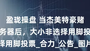 盈珑操盘 当杰美特豪赌AI算力服务器后，大小非选择用脚投票_合力_公告_图片说明